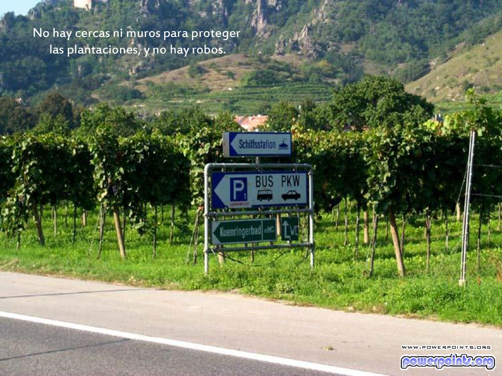 No hay cercas ni muros para proteger las plantaciones, y no hay robos.