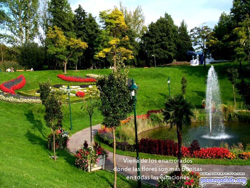 Viena de los enamorados donde las flores son más bonitas