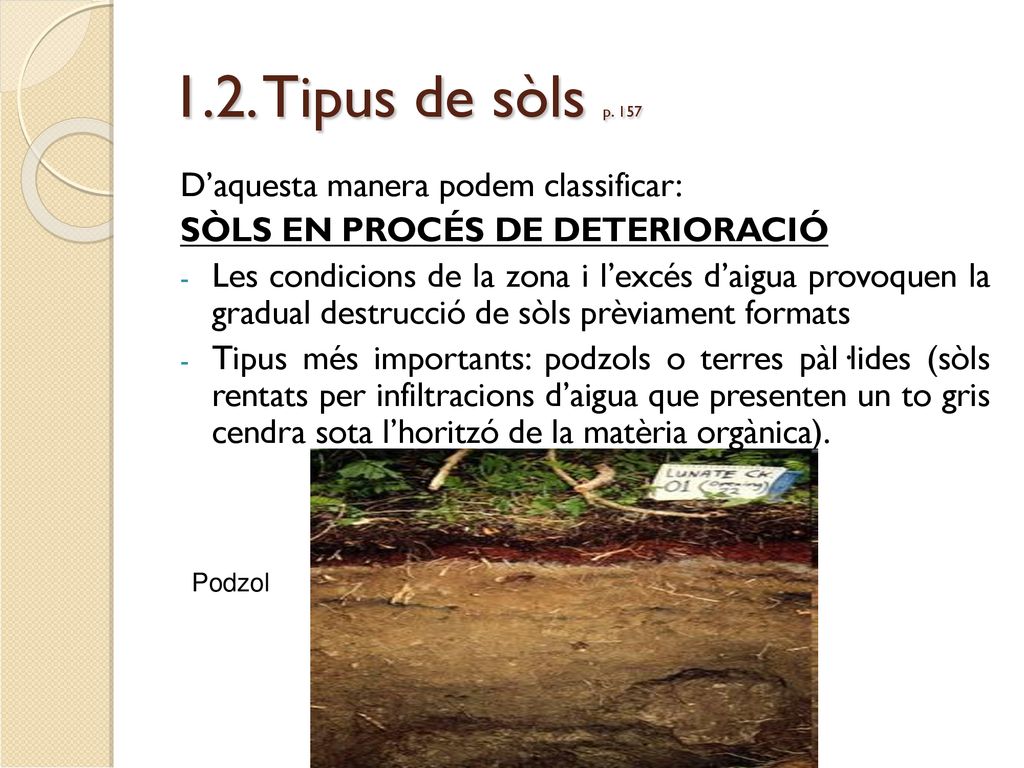 1.2. Tipus de sòls p. 157 D’aquesta manera podem classificar: