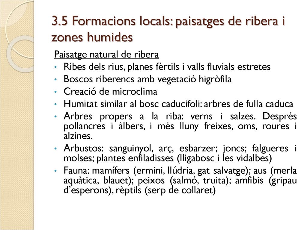 3.5 Formacions locals: paisatges de ribera i zones humides