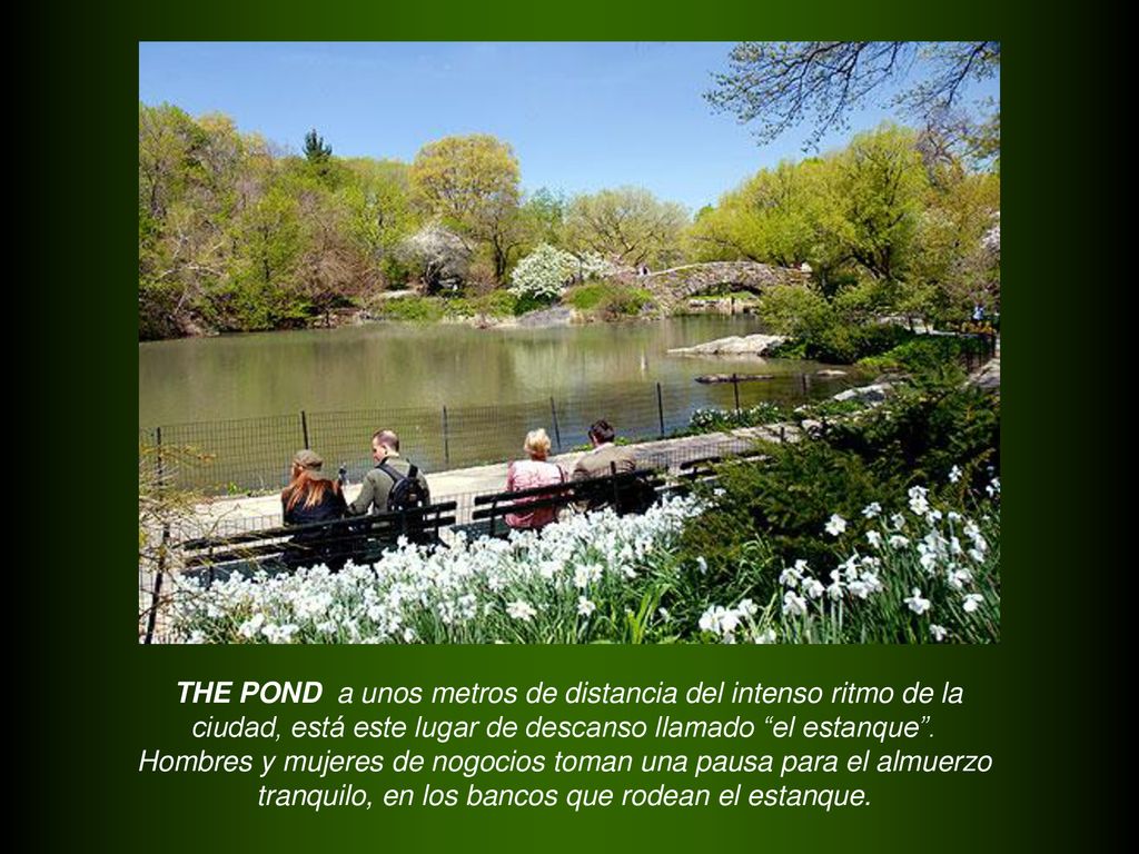THE POND a unos metros de distancia del intenso ritmo de la ciudad, está este lugar de descanso llamado el estanque .