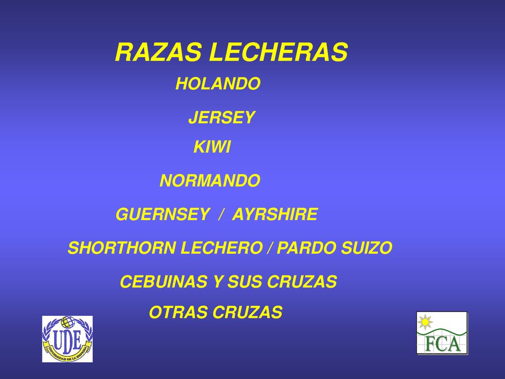FCA RAZAS LECHERAS HOLANDO JERSEY KIWI NORMANDO GUERNSEY / AYRSHIRE
