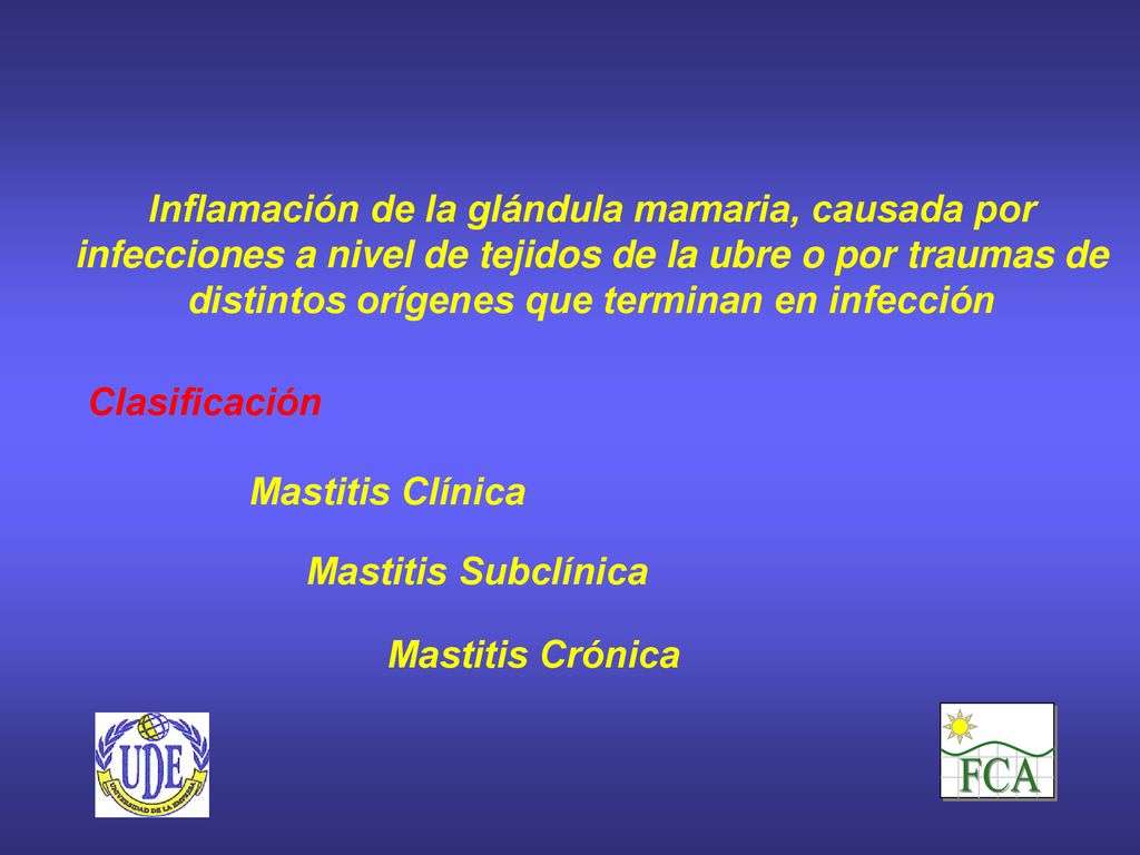 Inflamación de la glándula mamaria, causada por infecciones a nivel de tejidos de la ubre o por traumas de distintos orígenes que terminan en infección