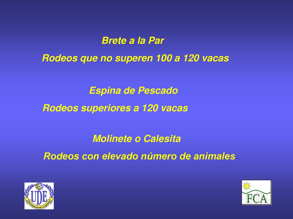 FCA Brete a la Par Rodeos que no superen 100 a 120 vacas