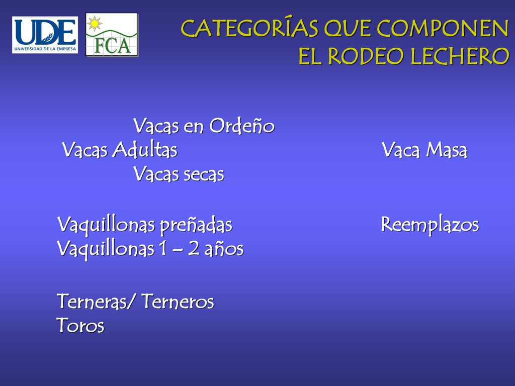 FCA CATEGORÍAS QUE COMPONEN EL RODEO LECHERO Vacas en Ordeño