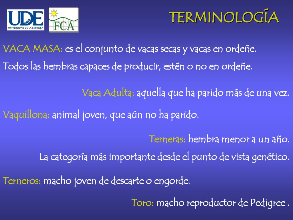 FCA TERMINOLOGÍA. VACA MASA: es el conjunto de vacas secas y vacas en ordeñe. Todos las hembras capaces de producir, estén o no en ordeñe.