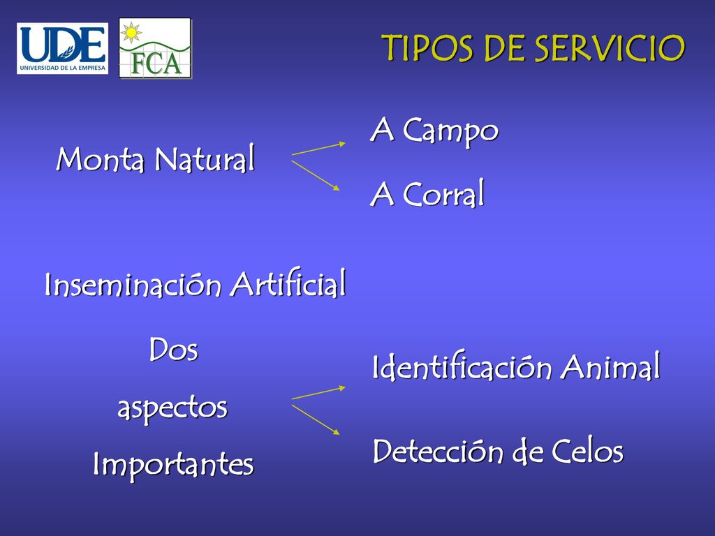 FCA TIPOS DE SERVICIO A Campo Monta Natural A Corral