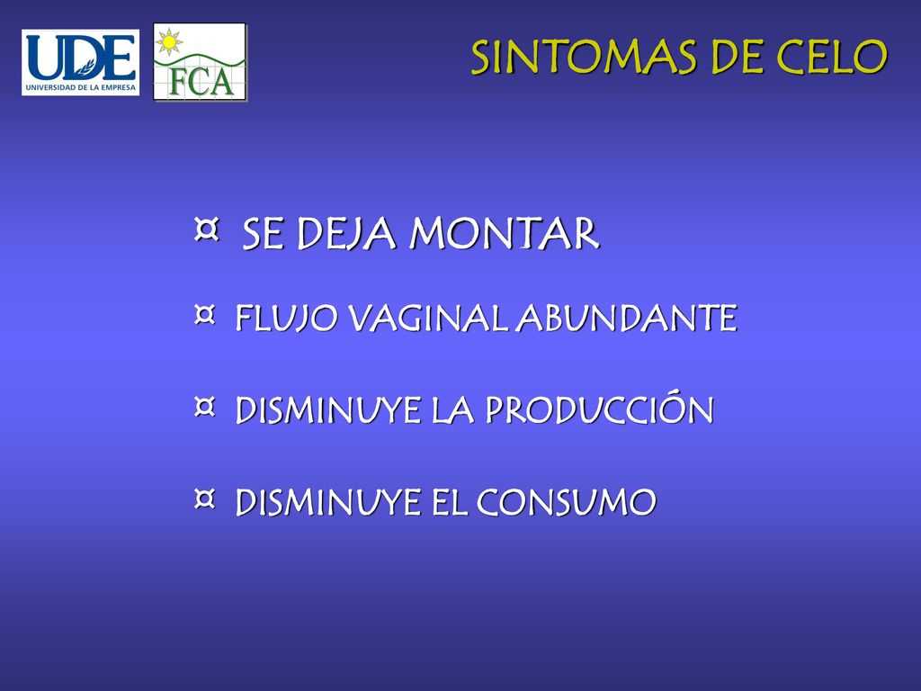 FCA SINTOMAS DE CELO ¤ SE DEJA MONTAR ¤ FLUJO VAGINAL ABUNDANTE