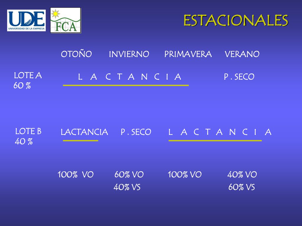 FCA ESTACIONALES OTOÑO INVIERNO PRIMAVERA VERANO LOTE A 60 %