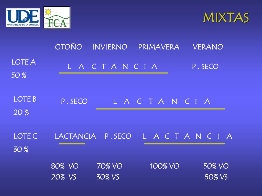 FCA MIXTAS OTOÑO INVIERNO PRIMAVERA VERANO LOTE A 50 %