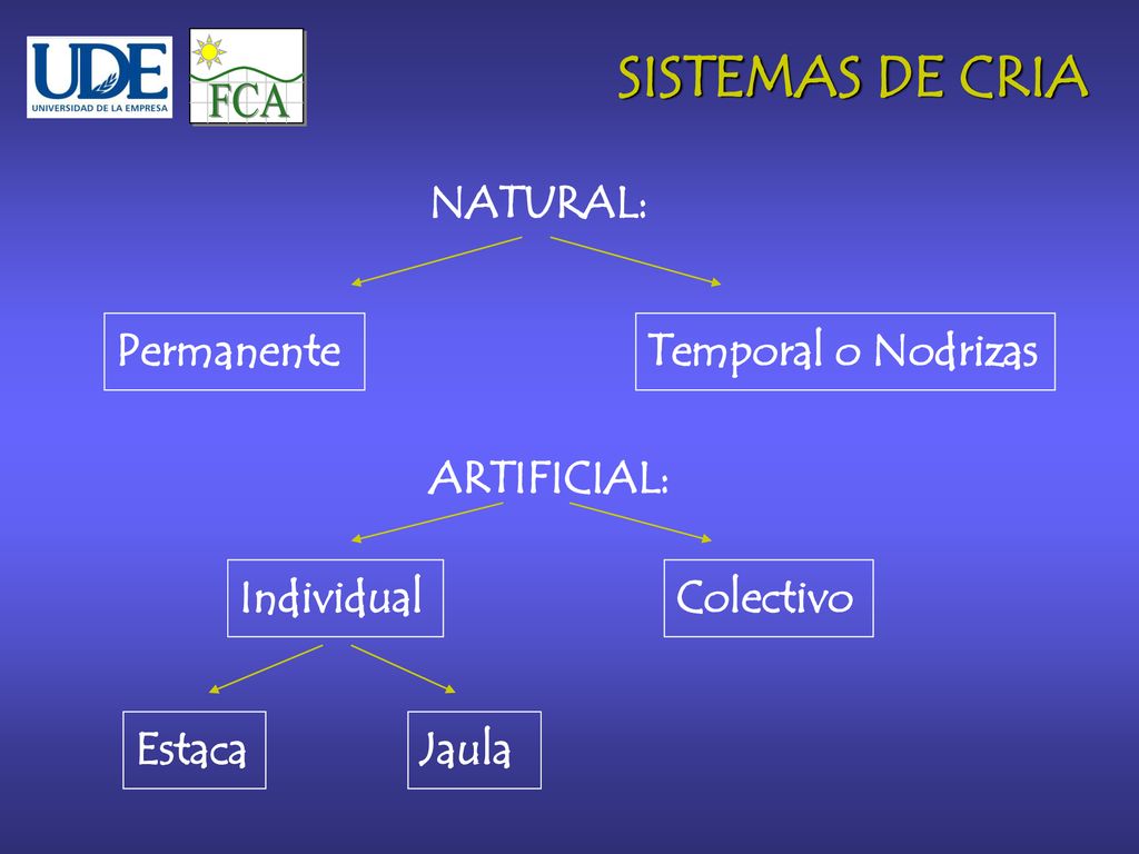 FCA SISTEMAS DE CRIA NATURAL: Permanente Temporal o Nodrizas