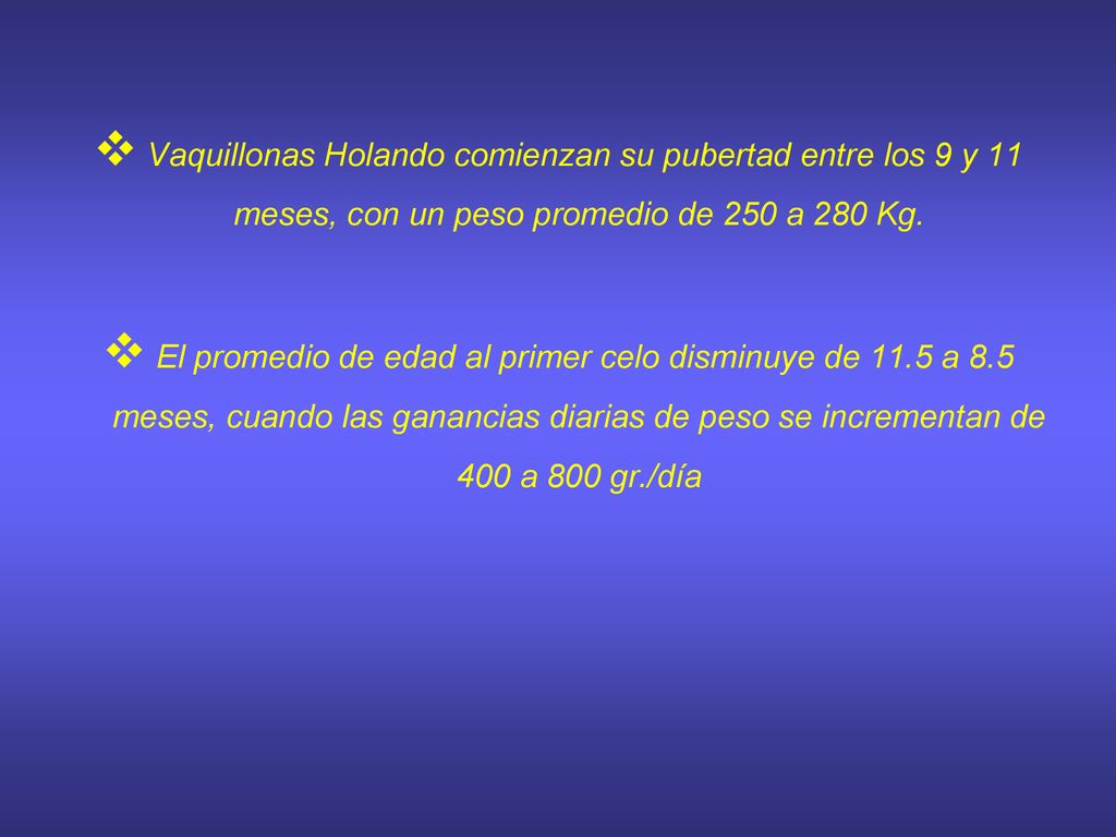 Vaquillonas Holando comienzan su pubertad entre los 9 y 11 meses, con un peso promedio de 250 a 280 Kg.