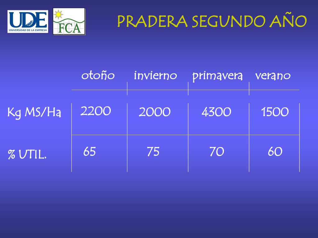 FCA PRADERA SEGUNDO AÑO otoño invierno primavera verano Kg MS/Ha 2200