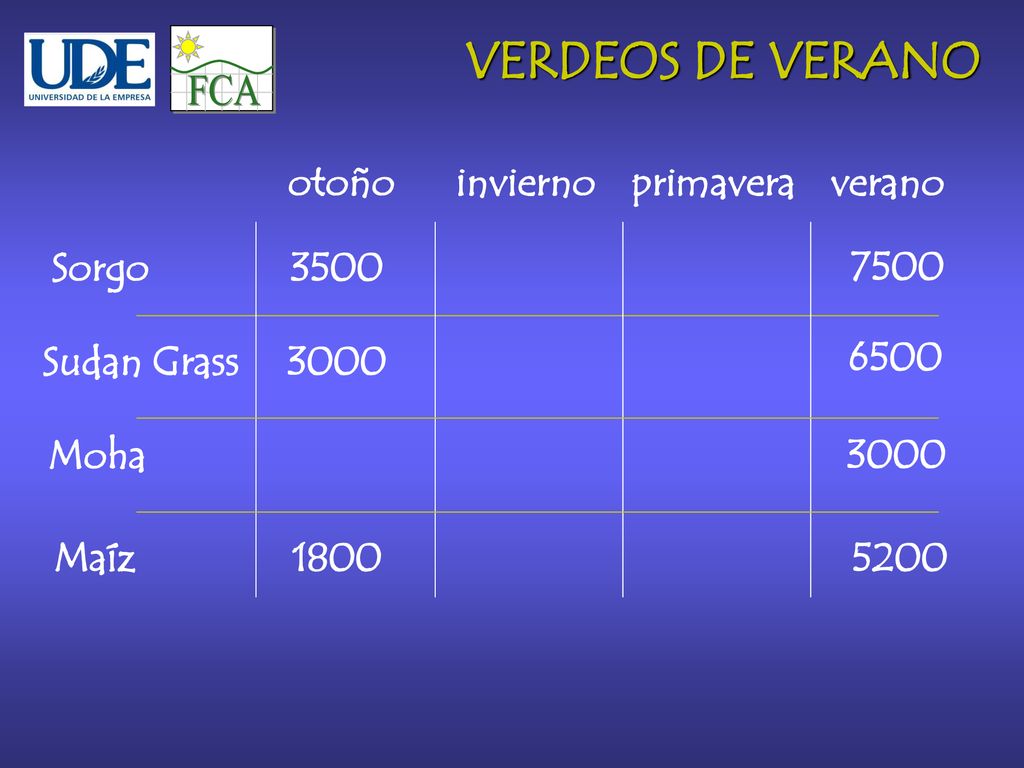 FCA VERDEOS DE VERANO otoño invierno primavera verano Sorgo
