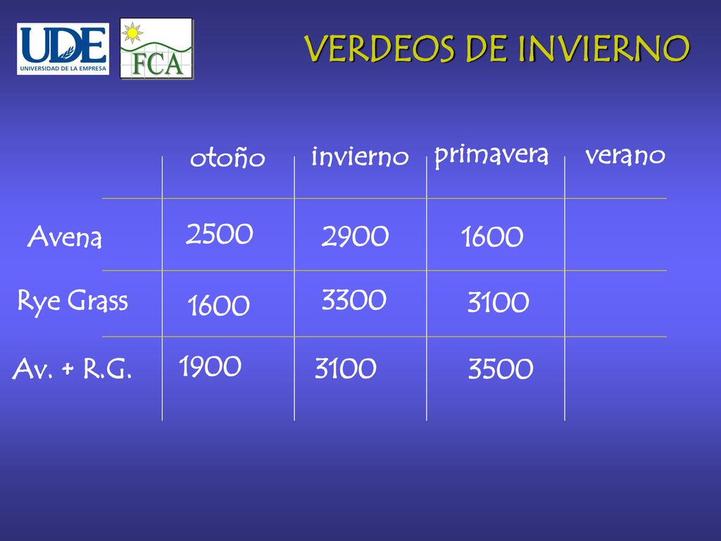 FCA VERDEOS DE INVIERNO otoño invierno primavera verano Avena 2500