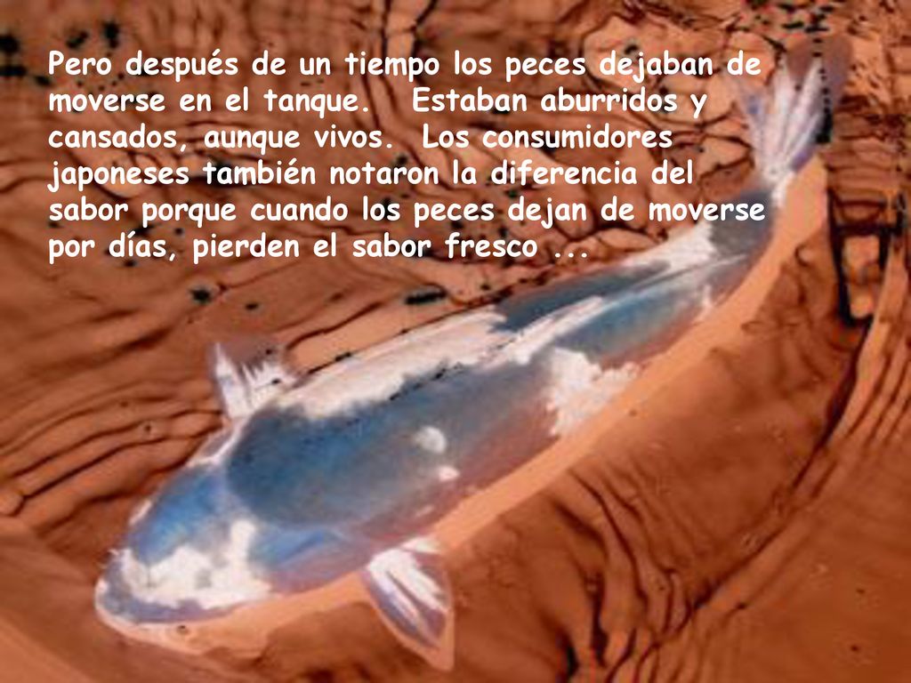 Pero después de un tiempo los peces dejaban de moverse en el tanque