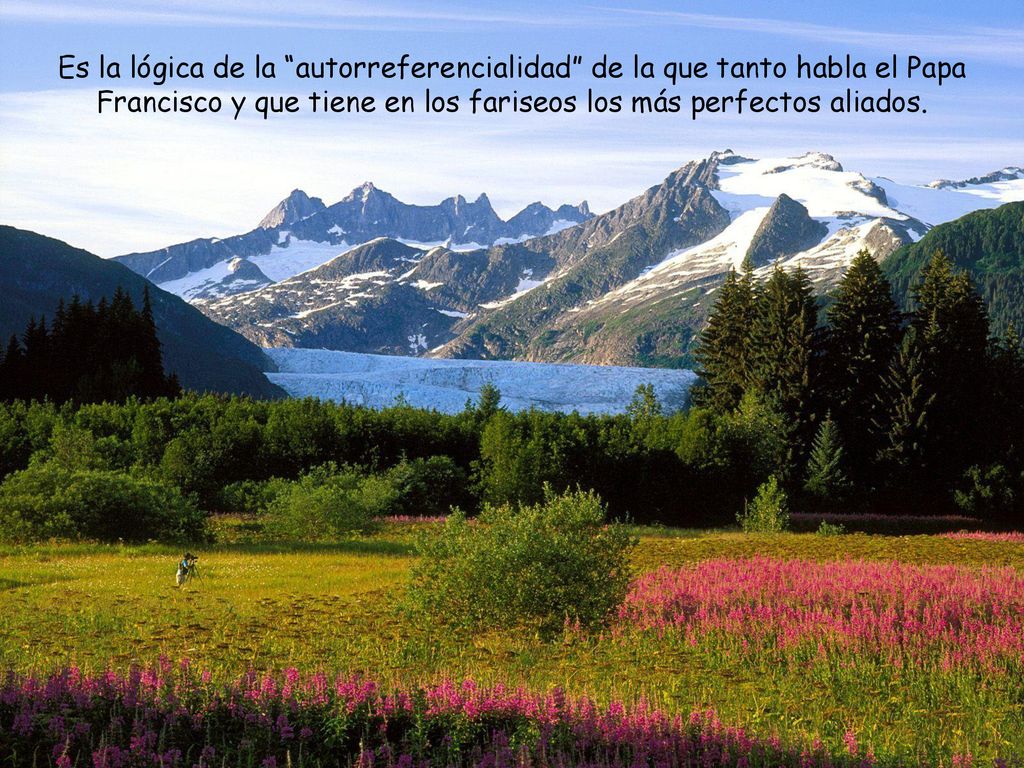 Es la lógica de la autorreferencialidad de la que tanto habla el Papa Francisco y que tiene en los fariseos los más perfectos aliados.