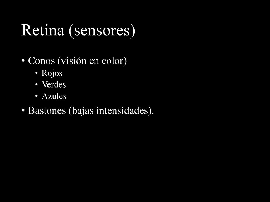Retina (sensores) Conos (visión en color)