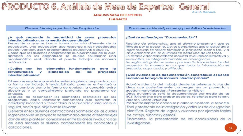 PRODUCTO 6. Análisis de Mesa de Expertos General
