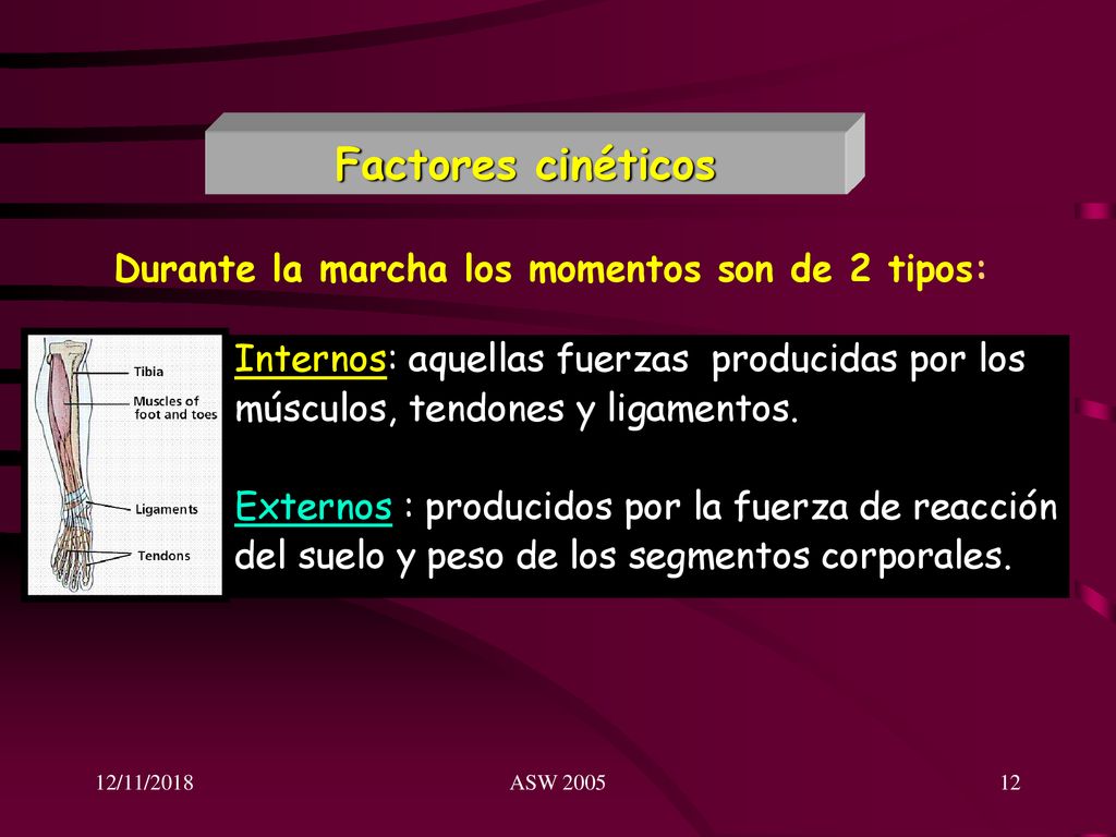Factores cinéticos Durante la marcha los momentos son de 2 tipos: