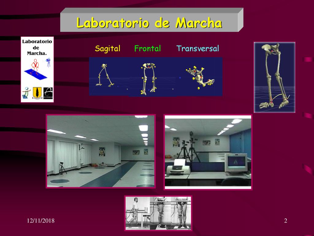 Laboratorio de Marcha Frontal Sagital Transversal 12/11/2018 ASW 2005