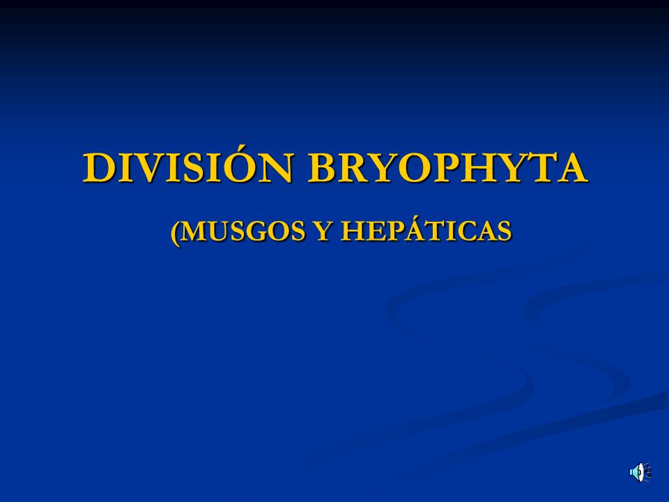 DIVISIÓN BRYOPHYTA (MUSGOS Y HEPÁTICAS