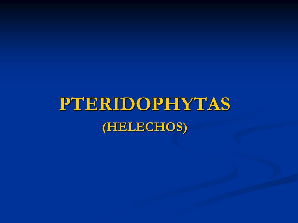 PTERIDOPHYTAS (HELECHOS)
