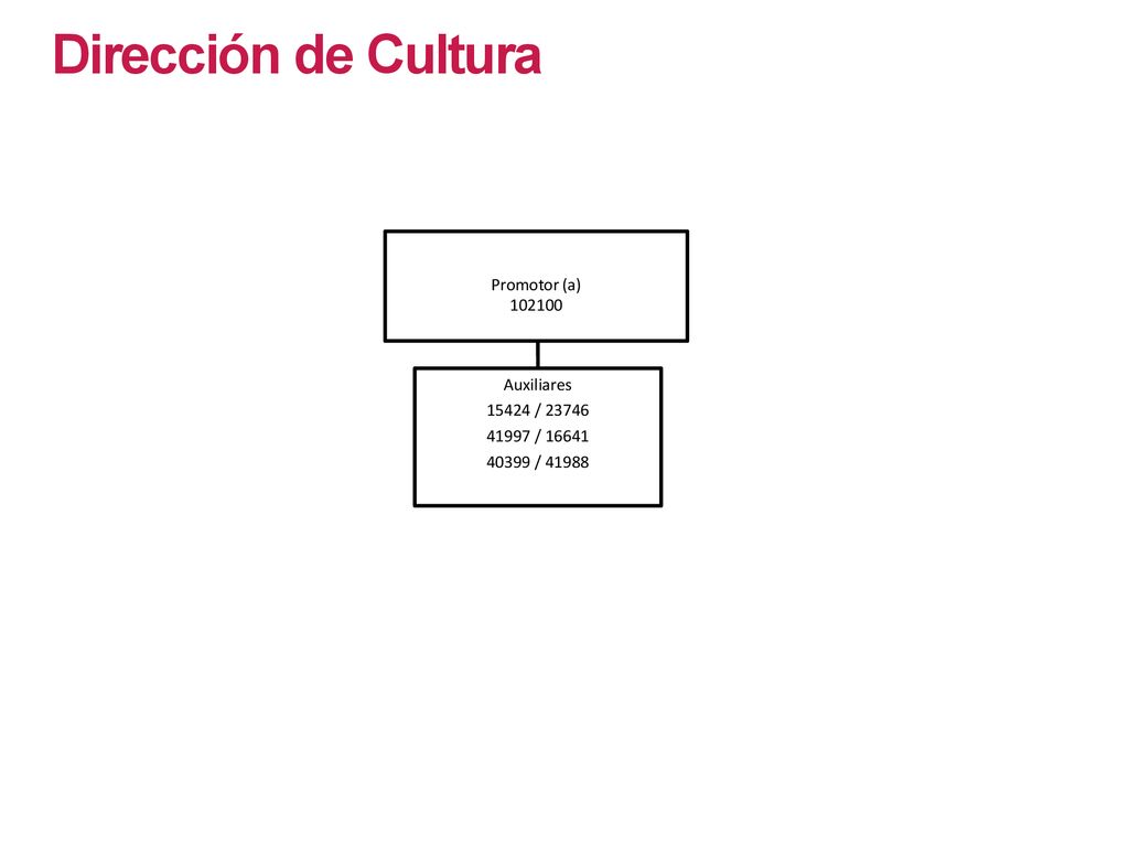 Dirección de Cultura Promotor (a) Auxiliares / 23746