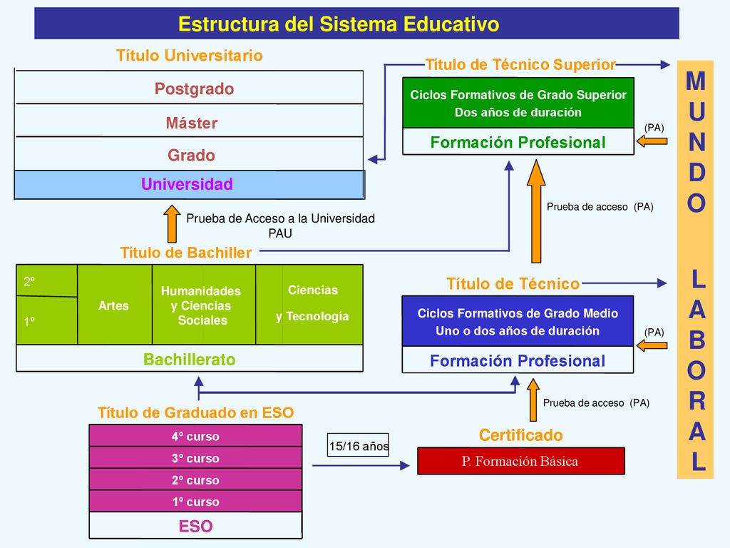 M U N D O L A B O R A L Estructura del Sistema Educativo