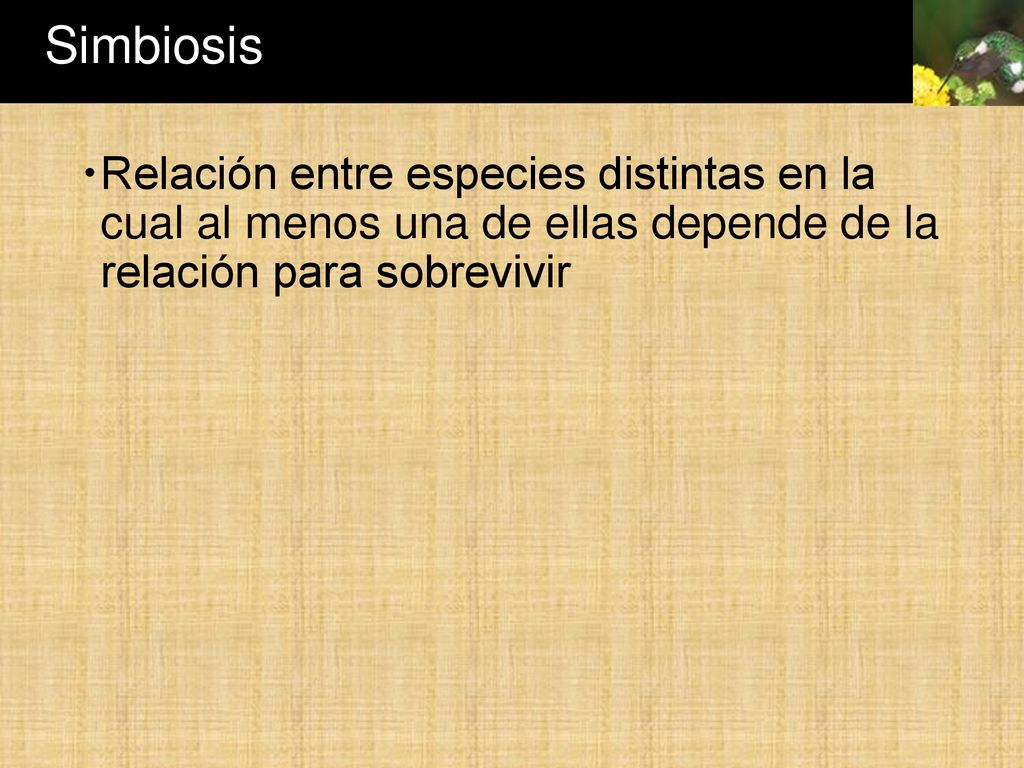 Simbiosis Relación entre especies distintas en la cual al menos una de ellas depende de la relación para sobrevivir.