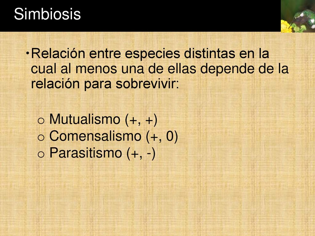 Simbiosis Relación entre especies distintas en la cual al menos una de ellas depende de la relación para sobrevivir: