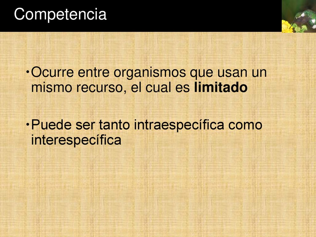 Competencia Ocurre entre organismos que usan un mismo recurso, el cual es limitado.