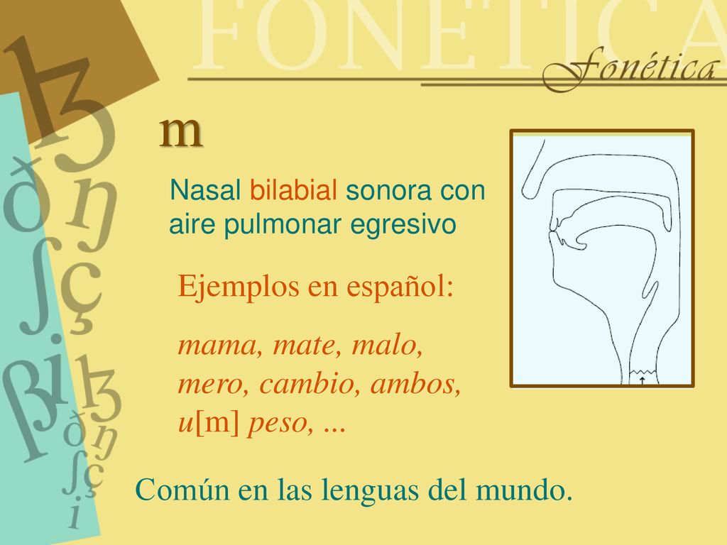 m Nasal bilabial sonora con aire pulmonar egresivo. Ejemplos en español: mama, mate, malo, mero, cambio, ambos, u[m] peso, ...