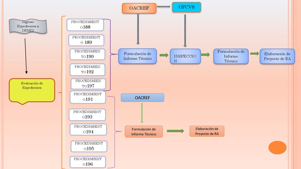 OFCVS OACREF Formulación de Informe Técnico INSPECCIO N