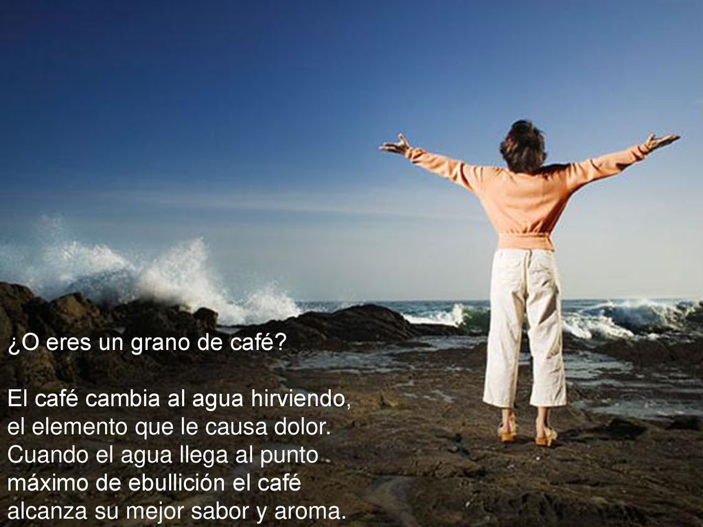 ¿O eres un grano de café El café cambia al agua hirviendo, el elemento que le causa dolor.