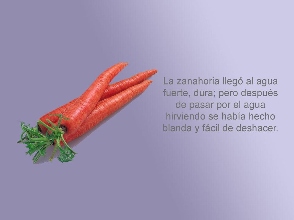 La zanahoria llegó al agua fuerte, dura; pero después de pasar por el agua hirviendo se había hecho blanda y fácil de deshacer.