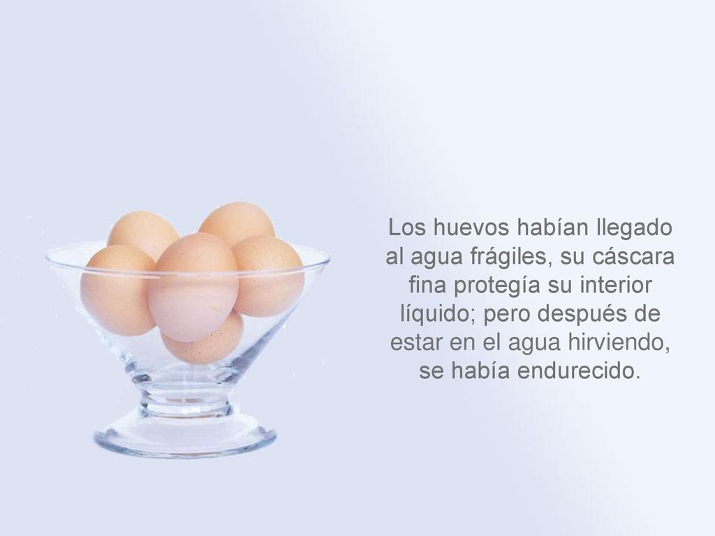 Los huevos habían llegado al agua frágiles, su cáscara fina protegía su interior líquido; pero después de estar en el agua hirviendo, se había endurecido.