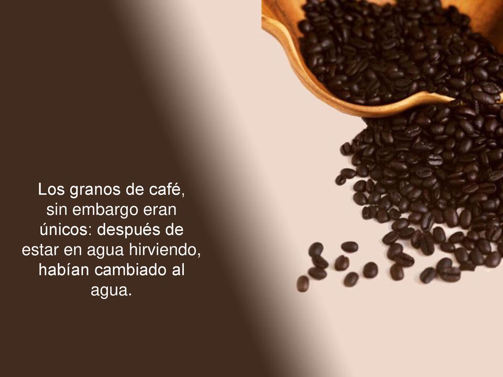 Los granos de café, sin embargo eran únicos: después de estar en agua hirviendo, habían cambiado al agua.