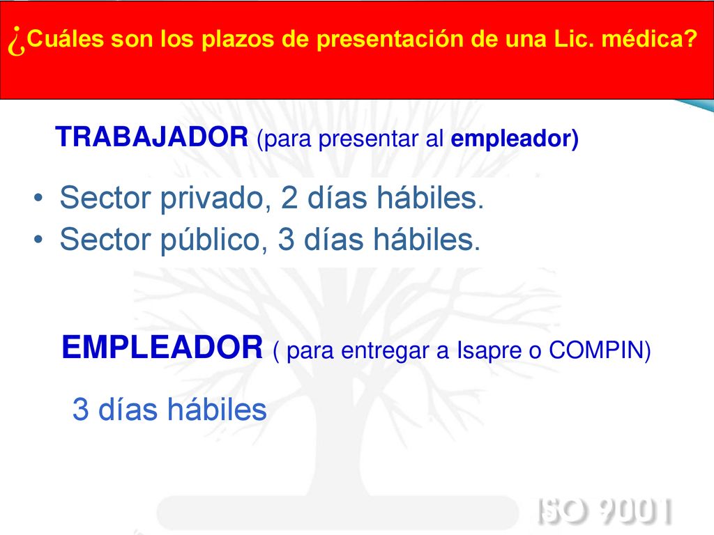 ¿Cuáles son los plazos de presentación de una Lic. médica