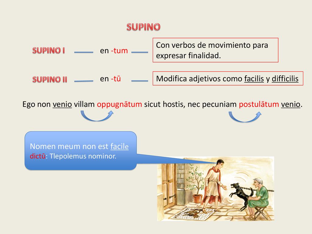 SUPINO Con verbos de movimiento para expresar finalidad. SUPINO I