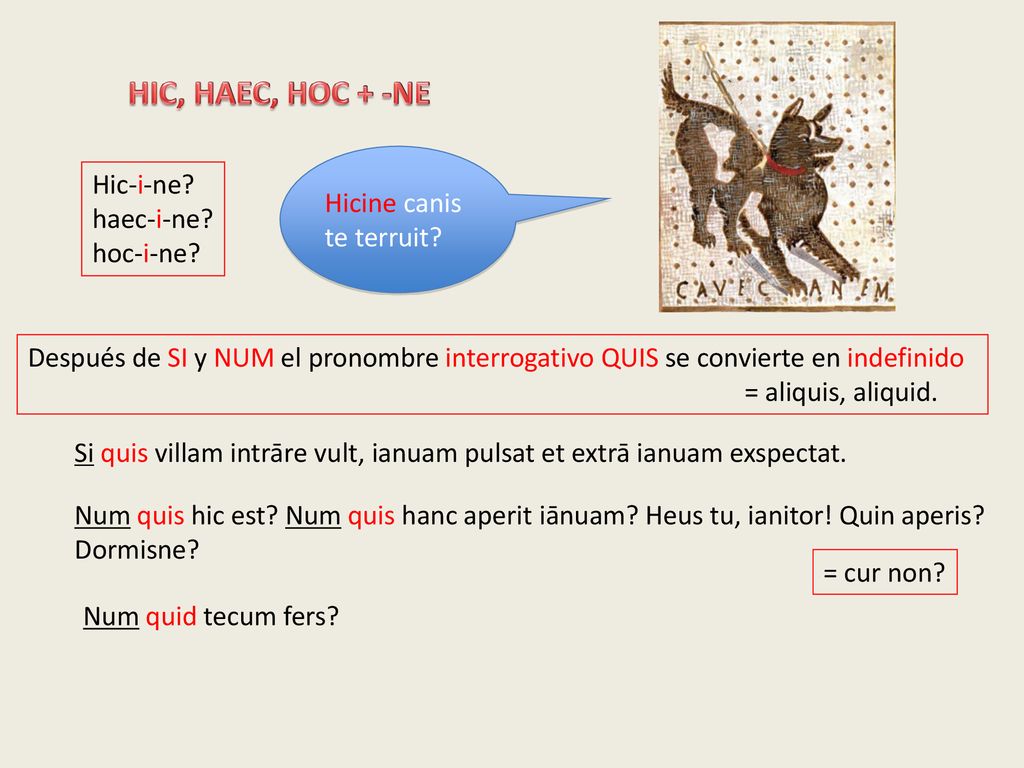 HIC, HAEC, HOC + -NE Hic-i-ne Hicine canis te terruit haec-i-ne