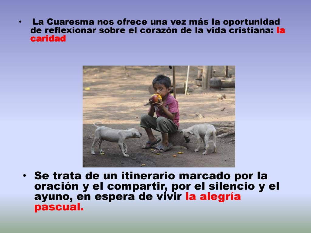 La Cuaresma nos ofrece una vez más la oportunidad de reflexionar sobre el corazón de la vida cristiana: la caridad