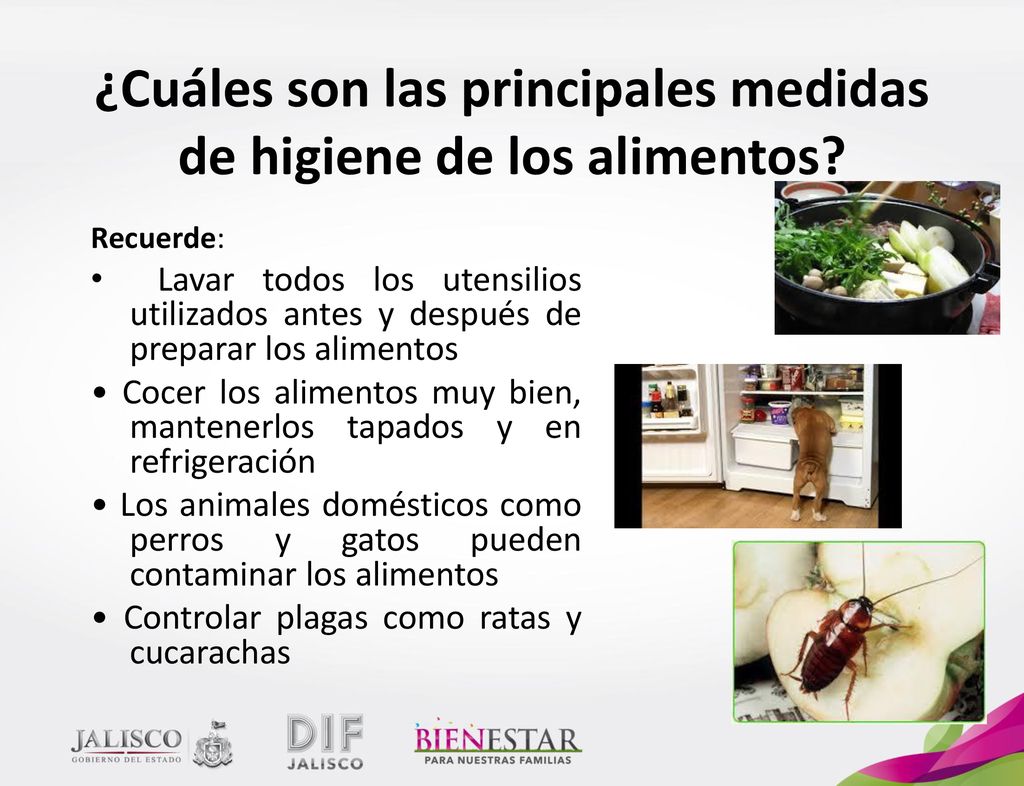 ¿Cuáles son las principales medidas de higiene de los alimentos