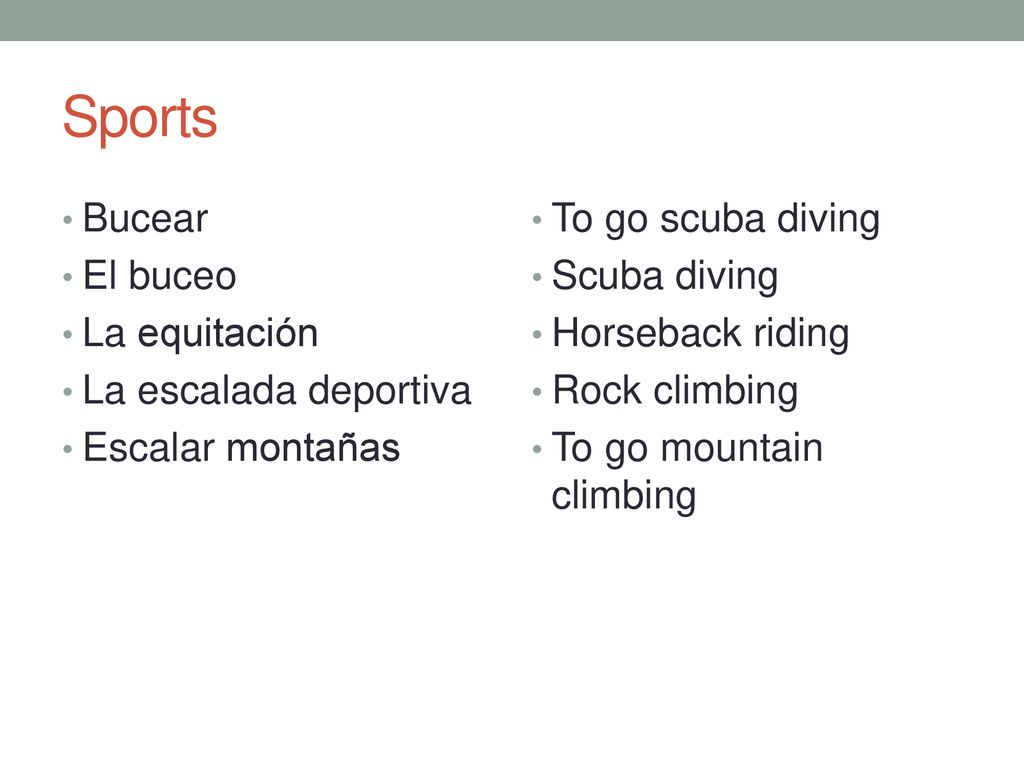 Sports Bucear El buceo La equitación La escalada deportiva