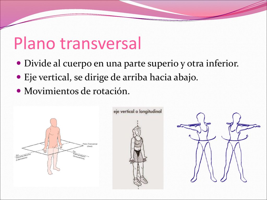 Plano transversal Divide al cuerpo en una parte superio y otra inferior. Eje vertical, se dirige de arriba hacia abajo.