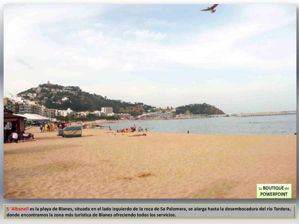 S `Albanell es la playa de Blanes, situada en el lado izquierdo de la roca de Sa Palomera, se alarga hasta la desembocadura del río Tordera, donde encontramos la zona más turística de Blanes ofreciendo todos los servicios.