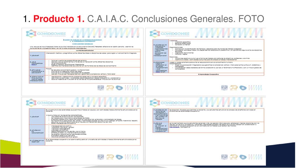 1. Producto 1. C.A.I.A.C. Conclusiones Generales. FOTO