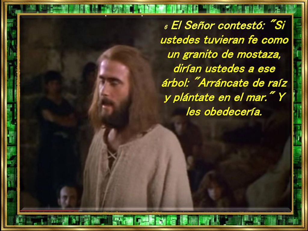 6 El Señor contestó: Si ustedes tuvieran fe como un granito de mostaza, dirían ustedes a ese árbol: Arráncate de raíz y plántate en el mar. Y les obedecería.