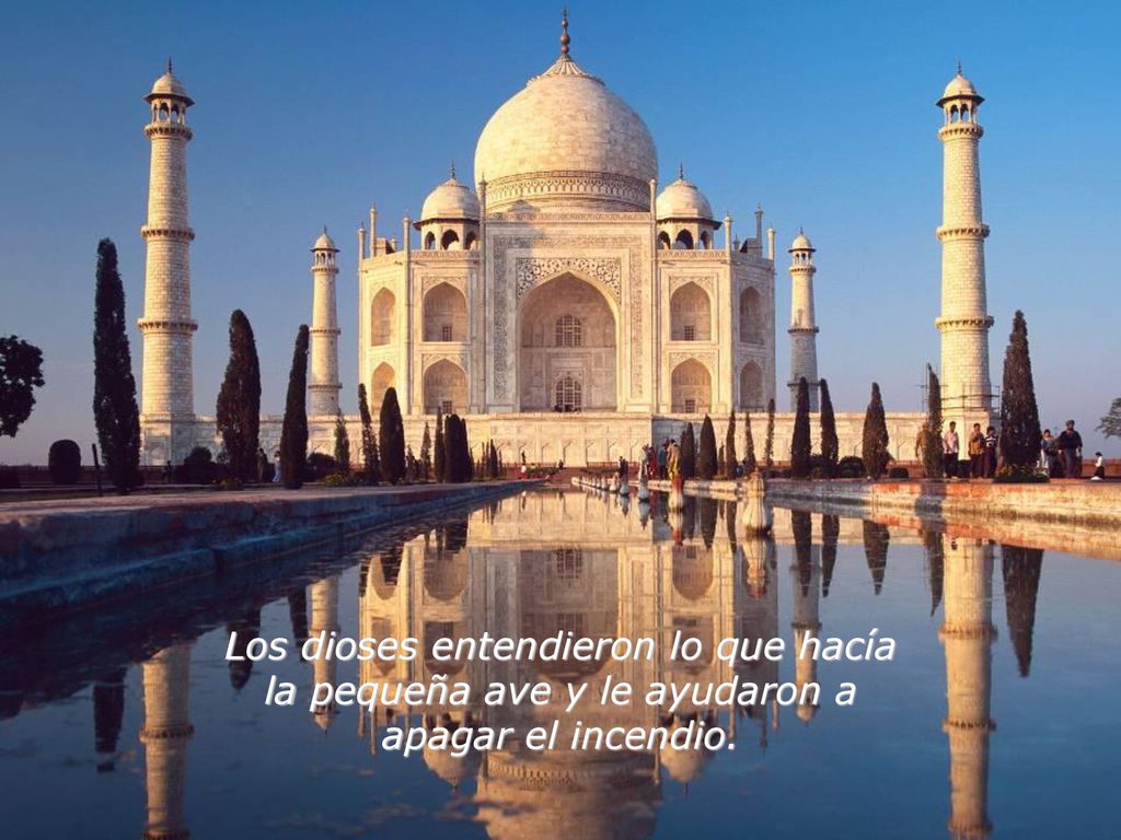 Los dioses entendieron lo que hacía la pequeña ave y le ayudaron a