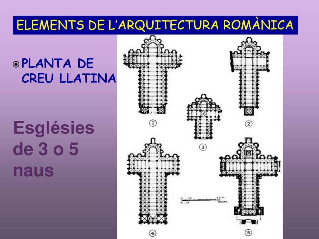 Esglésies de 3 o 5 naus ELEMENTS DE L’ARQUITECTURA ROMÀNICA